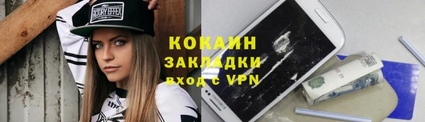 МДПВ Щигры