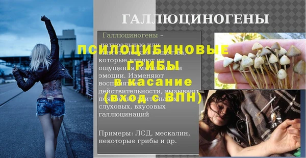 МДПВ Щигры