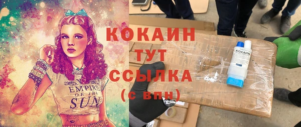 МДПВ Щигры
