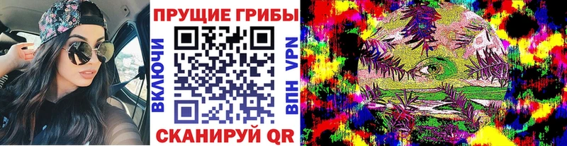 Купить закладки  Адыгейск  Псилоцибиновые грибы мухоморы 